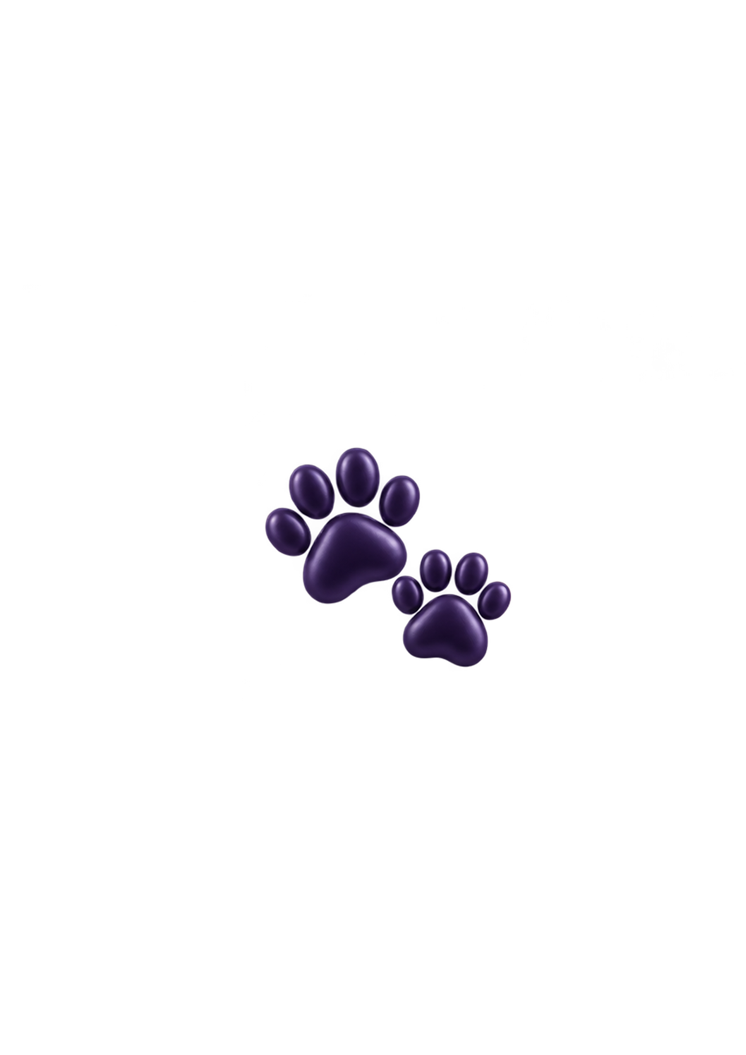 Pet Care