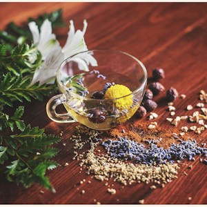 Wellness Drinks