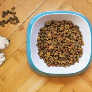 Dog Food