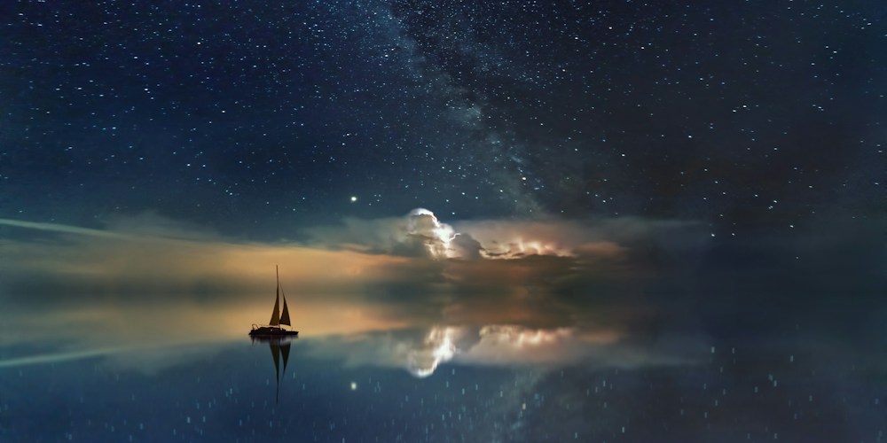 Banner 6